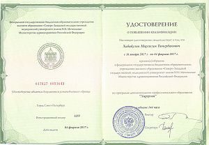 Удостоверение Хабибулина Михаила Анатольевича, которое подтверждает, что врач прошел обучение по программе дополнительного профессионального образования «Хирургия»